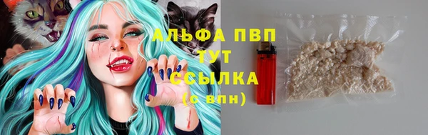 мет Няндома
