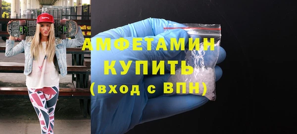 крисы Новодвинск
