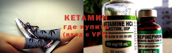 крисы Новодвинск