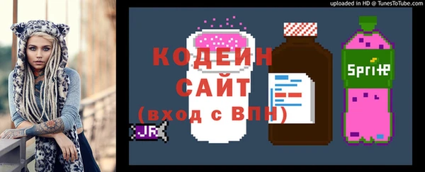 крисы Новодвинск