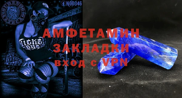 мет Няндома