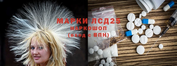 крисы Новодвинск