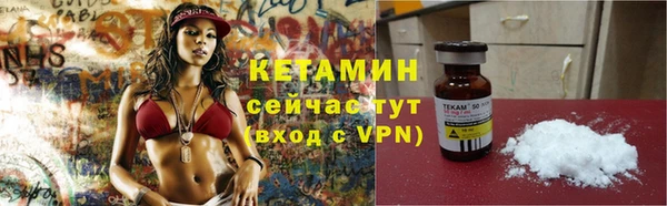 мет Няндома