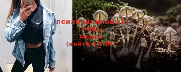 гашиш Новокубанск