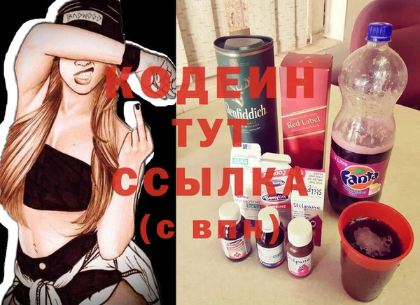 мет Няндома