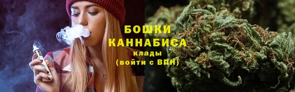 крисы Новодвинск