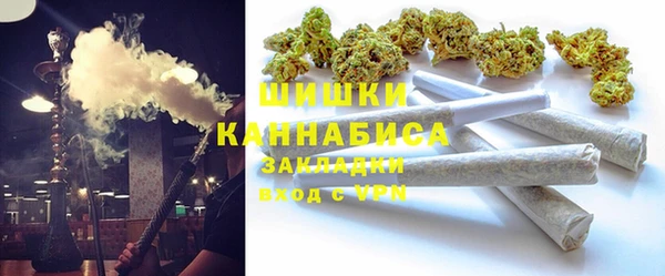 мет Няндома