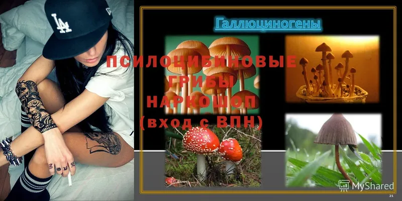 Галлюциногенные грибы MAGIC MUSHROOMS  сколько стоит  МЕГА рабочий сайт  Ишимбай 