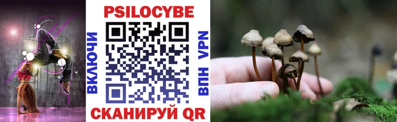 Галлюциногенные грибы Psilocybe  Ишимбай 