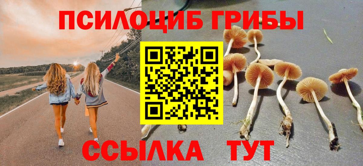 Ишимбай  Псилоцибиновые грибы прущие грибы  Вход с VPN 