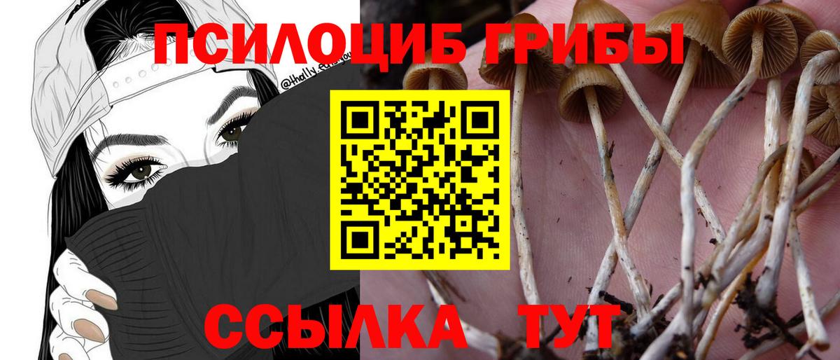 Псилоцибиновые грибы Psilocybine cubensis Ишимбай